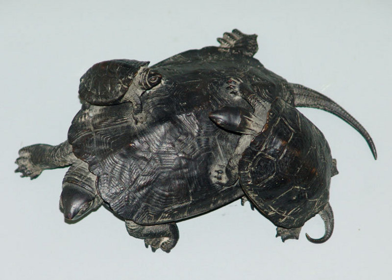Antique Japanese Bronze Okimono Turtle Group