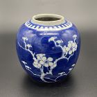 A Chinese Qing Dynasty Guangxu Blue and White Plum Blossom Jar