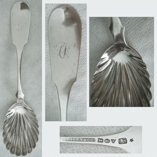 Bailey & Co. "Tipt" Sterling Silver Preserve Spoon with Shell Bowl