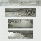 A. Coles, J. Werne, Louisville, "Leaf"Coin Silver Master Butter Knife