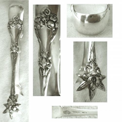 Alvin Art Nouveau 'Majestic' Large Sterling Silver Sugar Tongs