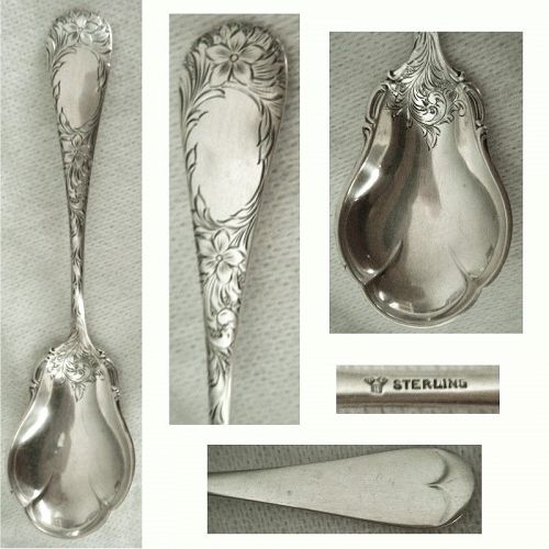 Lunt 'Dorothy Q' Engraved Floral Sterling Silver Sugar Spoon