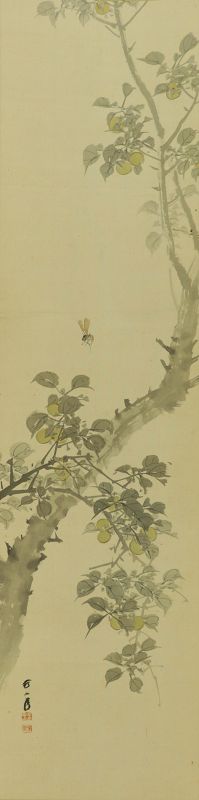 Antique Japanese Wall Decor Hanging Scroll Painting Plum Tree,Taisho