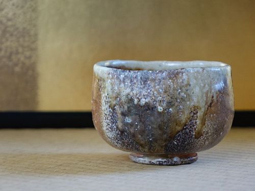Tani Seiuemon Shigaraki Tea Bowl (Chawan) Wood fired Natural Ash Stone