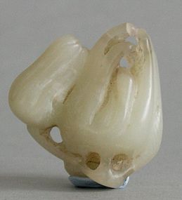 Chinese jade finger citron