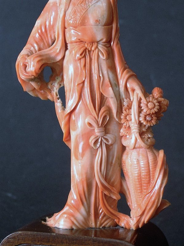 Chinese coral of a maiden