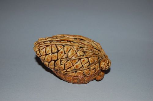 Kogo incense box, pinecone, Japan, Taisho era