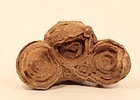 Moroccan stromatolite fossil