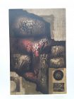 Obra De Hans Suliman Grudzinski signed lithograph 30/100