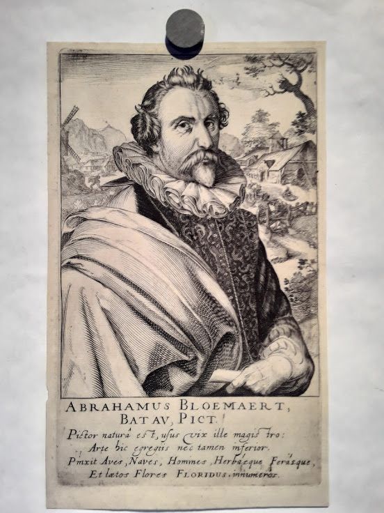 Portrait of Abraham Bloemaert by Frisius, Simon Wijnants (1580-1629)