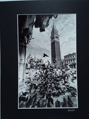 Garry Seidel "Venetian Flight" art Photograph Signed