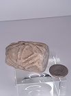 Pre Columbian Lot 2 pieces One Volcanic Pestle and a Roller stamp