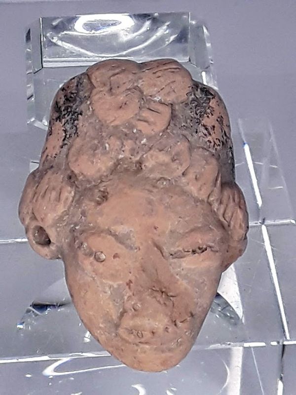 Mexican Pre Columbian Tlatilco Terracotta  female Head