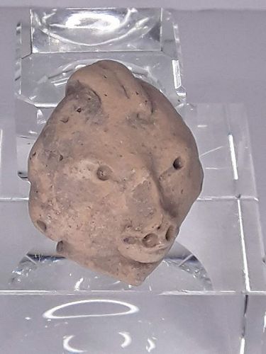 Mexican Pre Columbian Tlatilco Terracotta Alien animal Lizard head