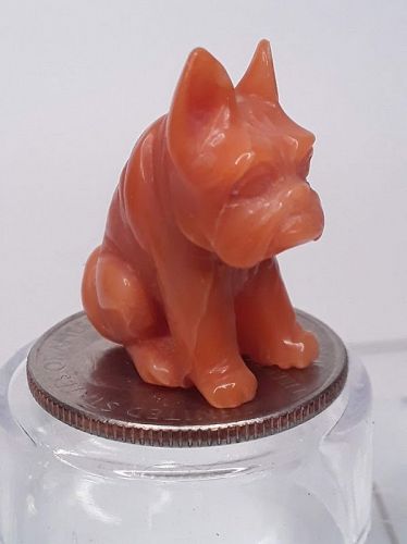 Fine Vintage Momo Coral carving of a seated Pug French or Japanese