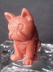 Fine Japanese Momo Coral carving of a seated Pug or Bulldog