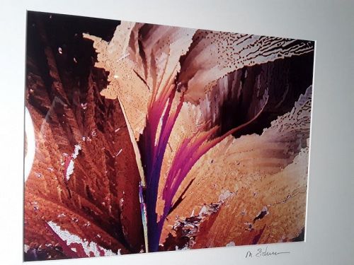 Contemporary Foliage abstract Photography image with Mat board signed