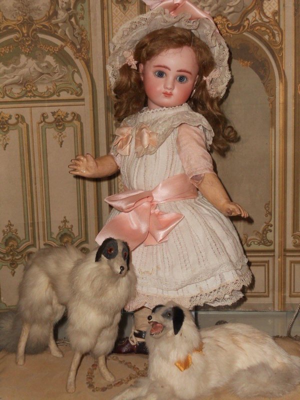 Outstanding and Rare Cabinet Size French Series C Steiner Bebe