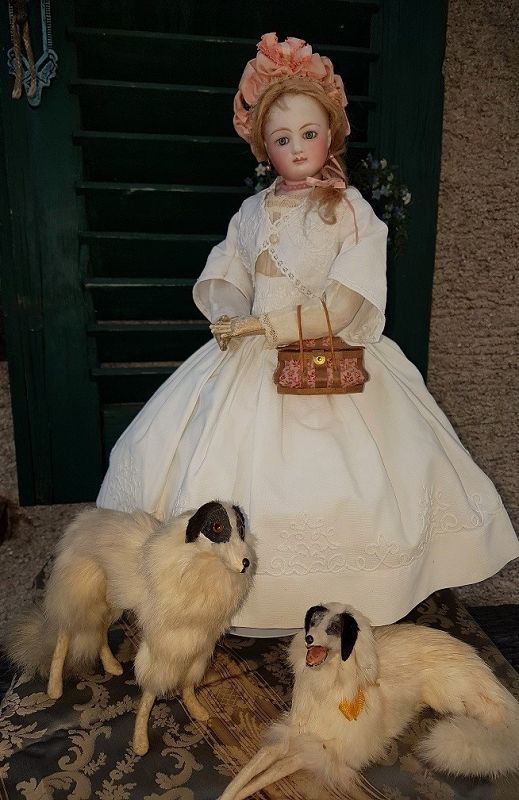 ~~~ Marvelous French Bisque Poupee with Superb Gown ~~~