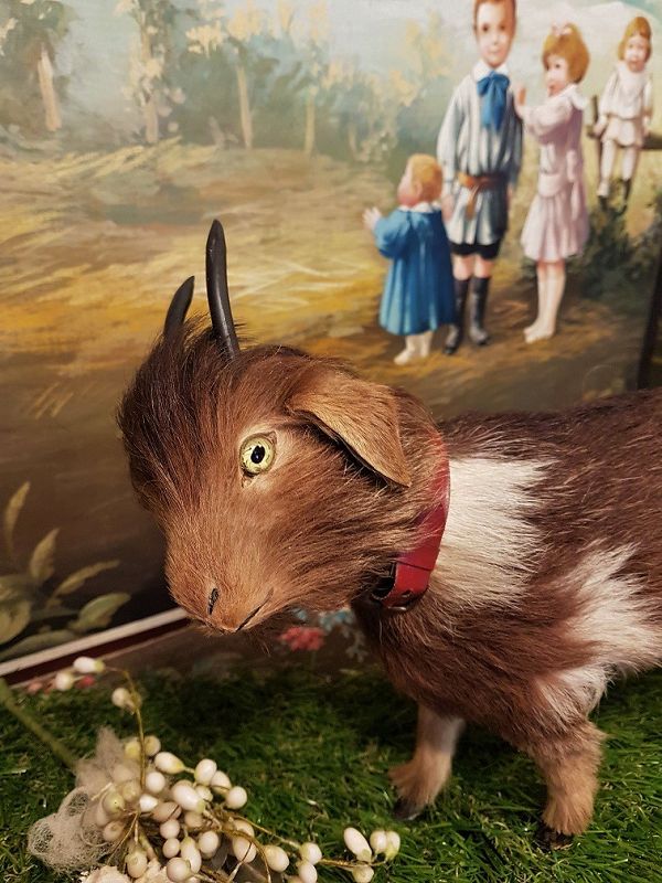 ~~~ Lovely Rare Candy Box Toy Goat for Doll Display ~~~