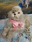 ~~~ Pretty French Papermarche Dog with Lamb Fur Cover / 19th. ~~~