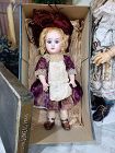 Rare small size French " Paris Bebe " in original Presentation