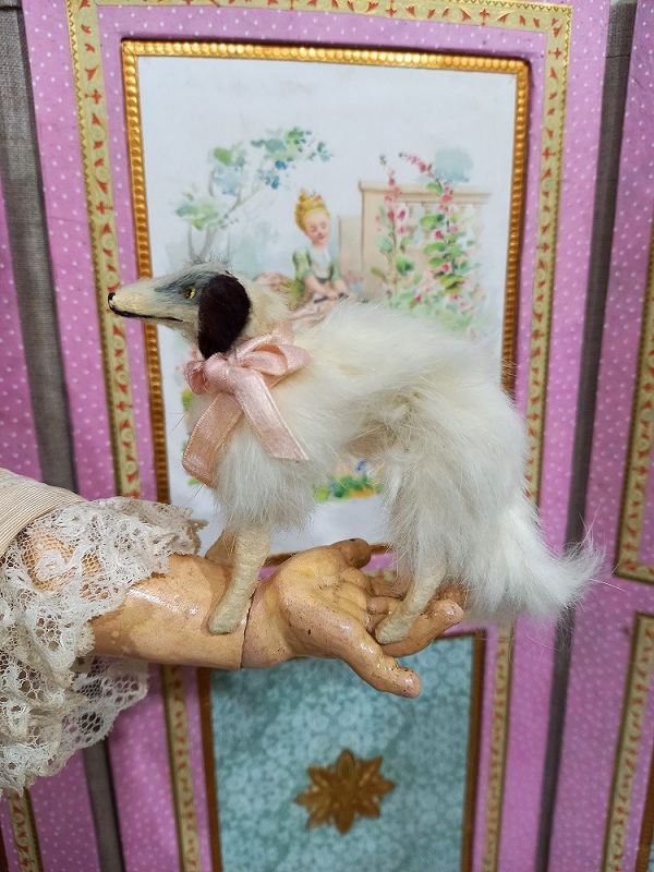 Rare small size French Miniature Borzoi Salon Dog
