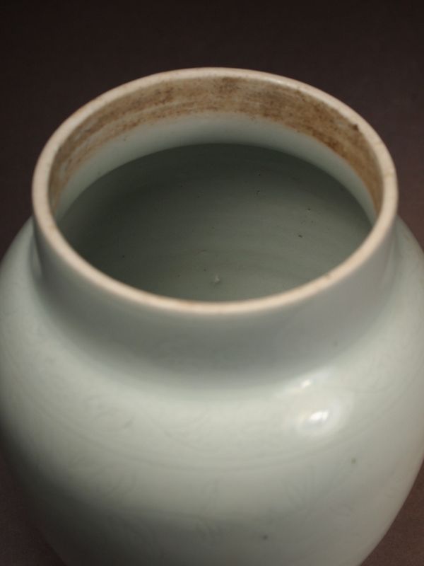 Chinese porcelain jar