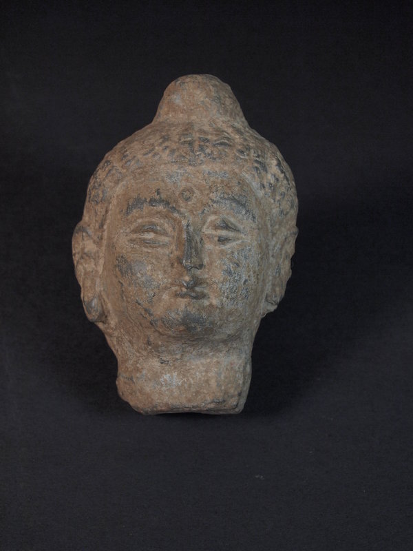 Afghan Gandhara carved stone Buddha head