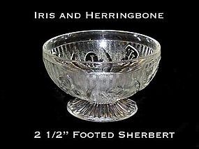 Iris and Herringbone Short Ftd Sherbert-Hard To Find!