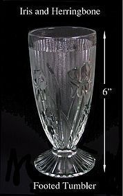 Iris and Herringbone Crystal 6 inch Ftd Water Tumbler