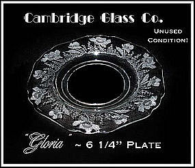 Cambridge Glass Co ~ Gloria Bread and Butter Plate