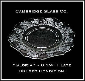 Cambridge Glass Co ~ Gloria 8 1/4" Lunch Plate