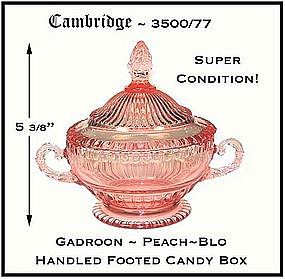 Cambridge~Peach~Blo Unusual Gadroon Ftd Covered Candy