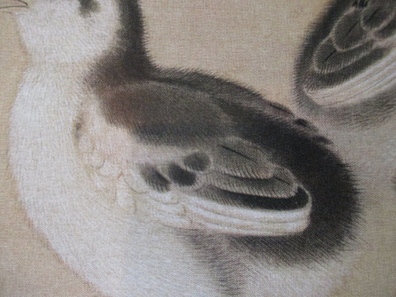 Chinese Print of Young Birds