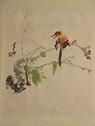 Chinese Painting of Bird Signed Zhao Shaoang
