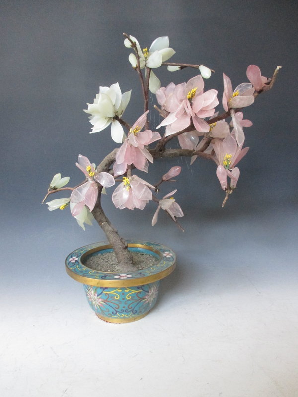 Pair of Stone Magnolia Plants with Cloissonne Pot