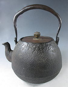 Japanese Antique Iron Tetsubin