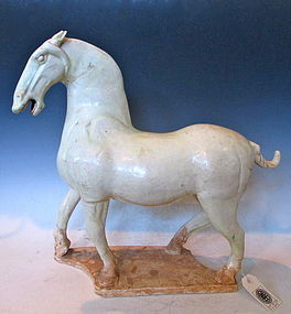 Vintage Chinese Tomb Horse