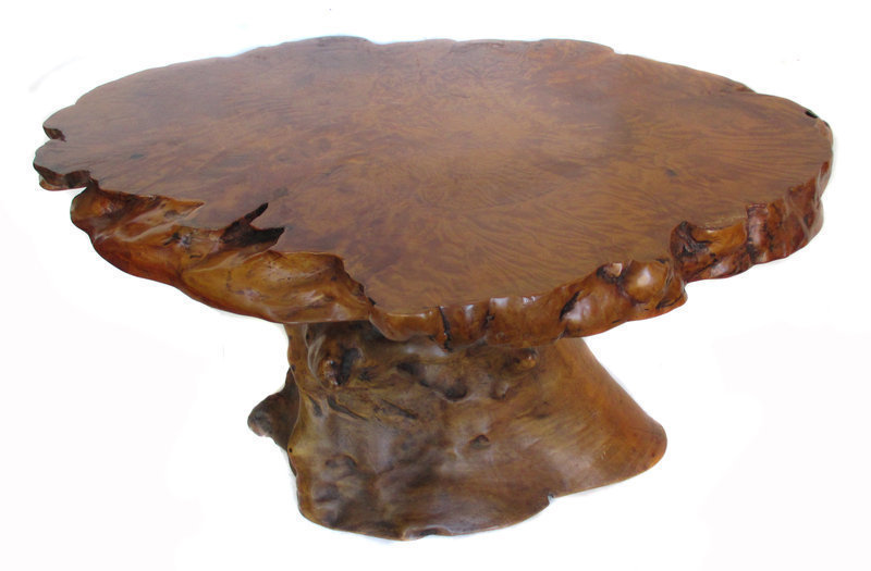 Dramatic Rootwood Coffee Table