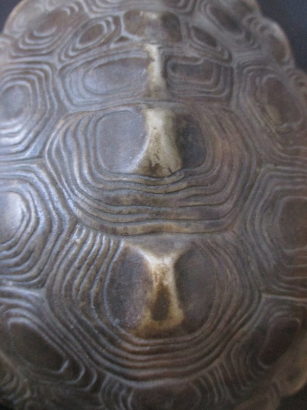 Unusual Charming Chinese Porcelain Turtle Box