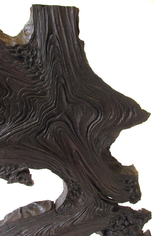 Japanese Artistic Sliced Burl Wood