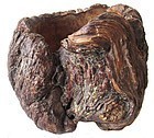 Antique Japanese Burl Container