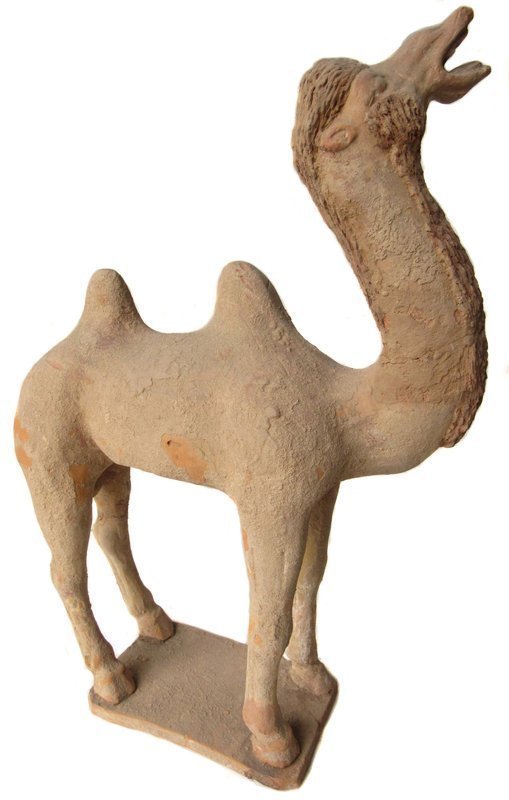 Chinese Archaic Tang Dynasty Clay Camel