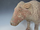 Han Dynasty Chinese Terra Cotta Cow