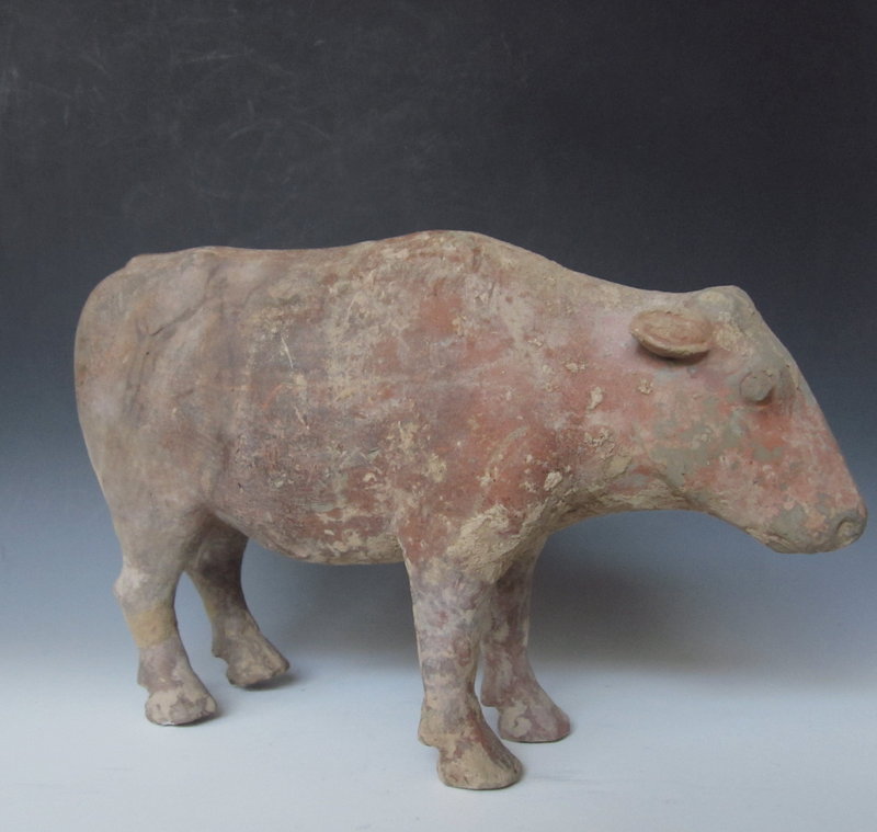 Han Dynasty Chinese Terra Cotta Cow