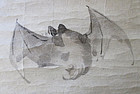 Japanese 18th Century Fan Painting with Bat