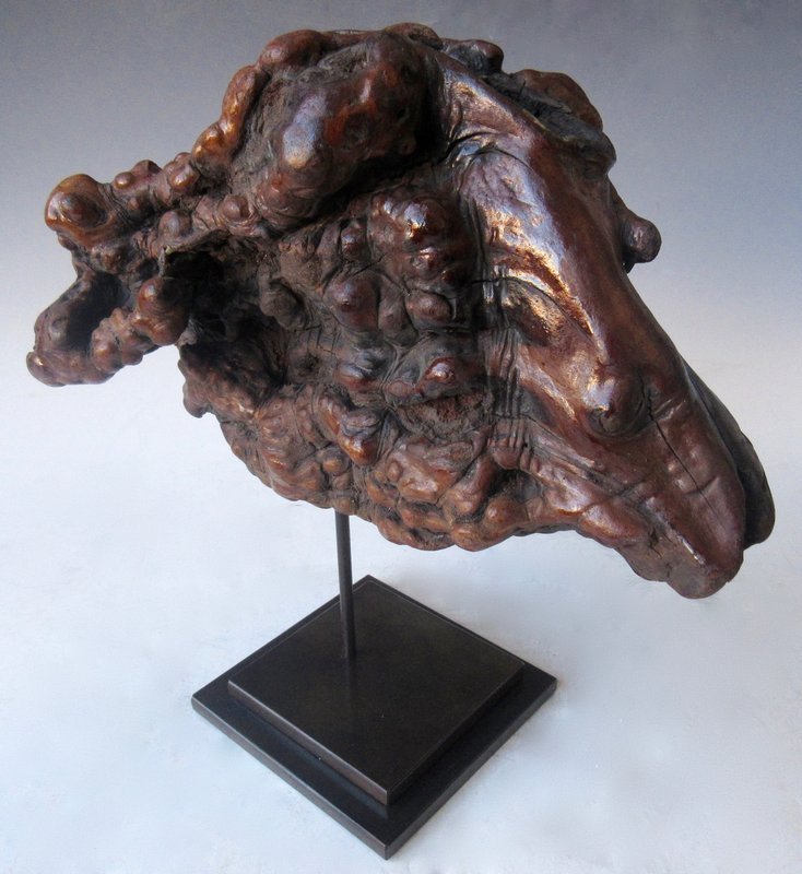 Mounted Chinese natural Burl Ram's Head