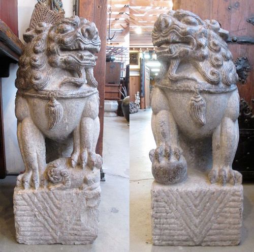 Chinese 19th Century Pair of Large Stone Lions