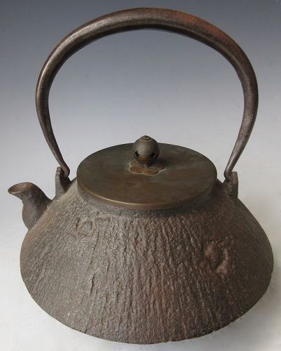 Antique Japanese Iron Tetsubin